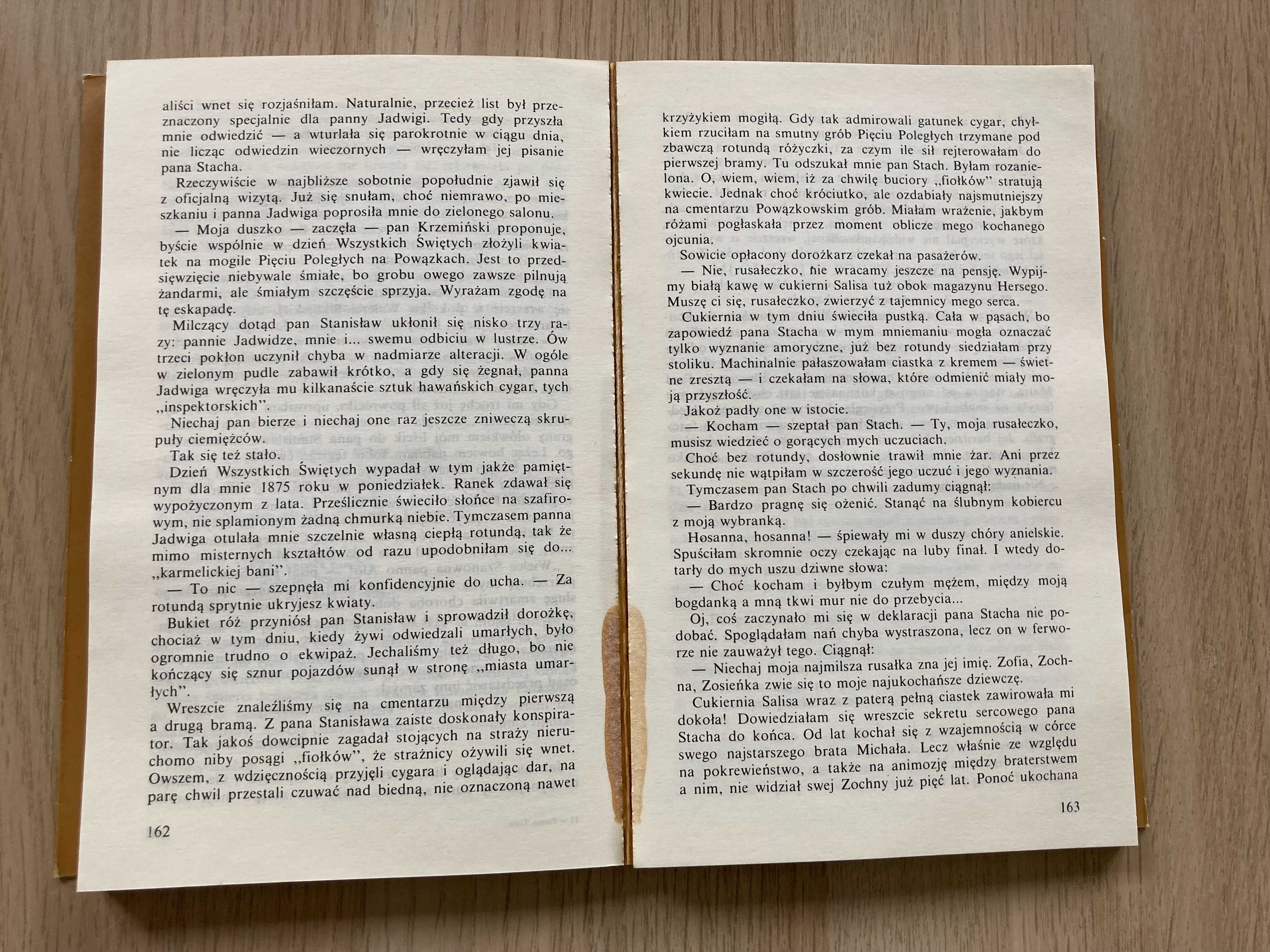 Panna Trau-Hanna Muszyńska-Hoffmannowa Powieść historyczna