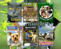 ДВД диск с позновательной детской программой ребятам о зверятах ВВ