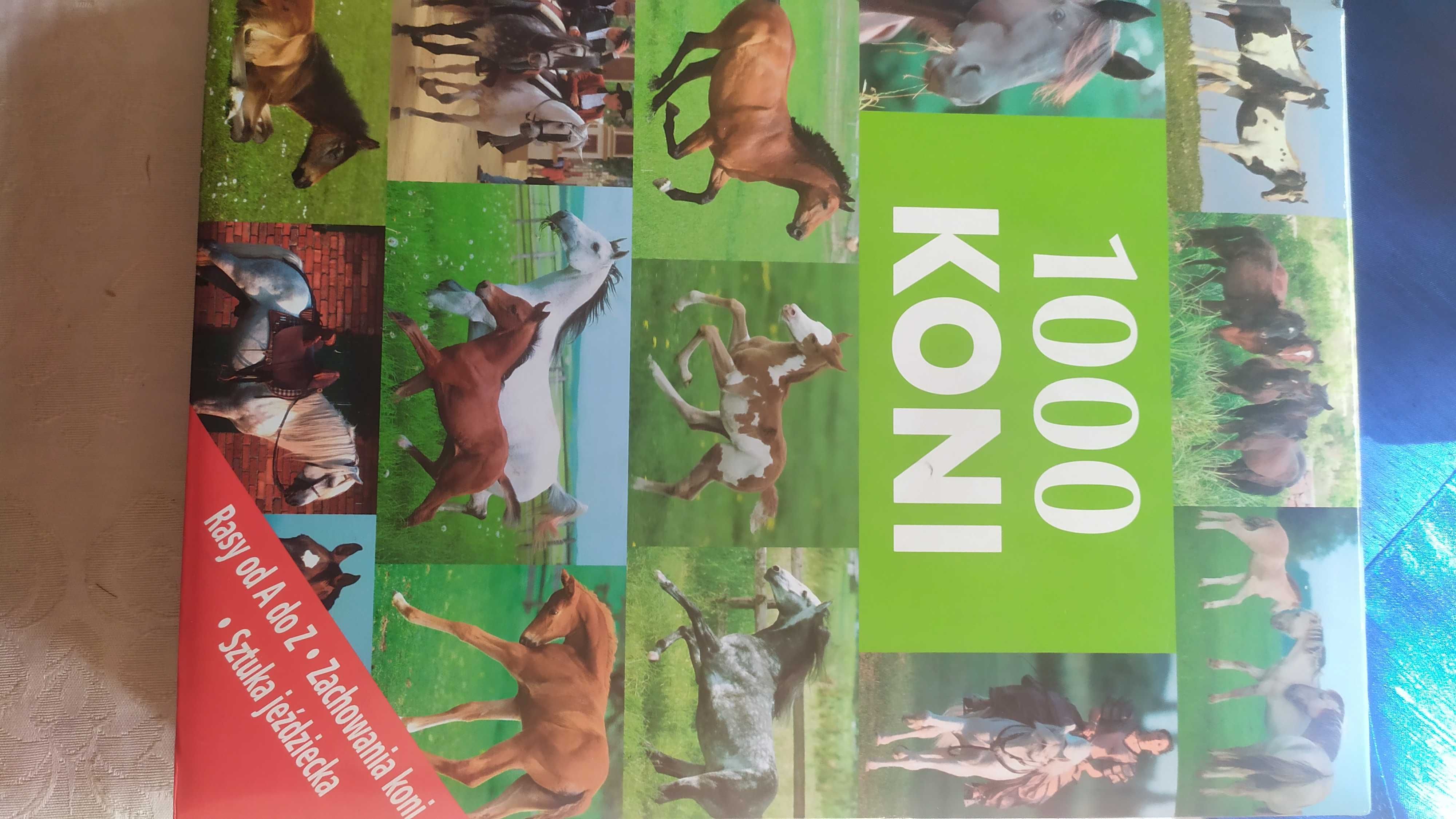 Album koni "1000 Koni"- opis wszystkich ras koni,