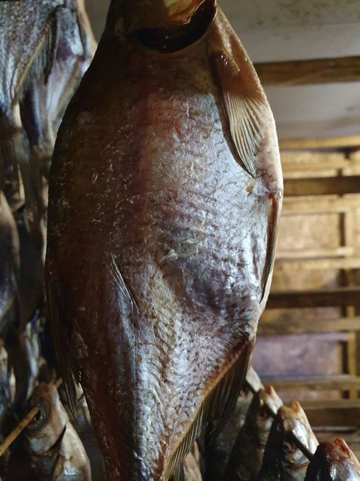 Рыба вяленая, опт и розница Тарань,Синец,Лещ,Судак,Щука