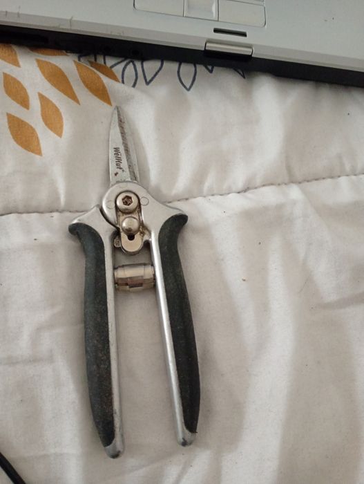 Sekator ogrodowy ręczny