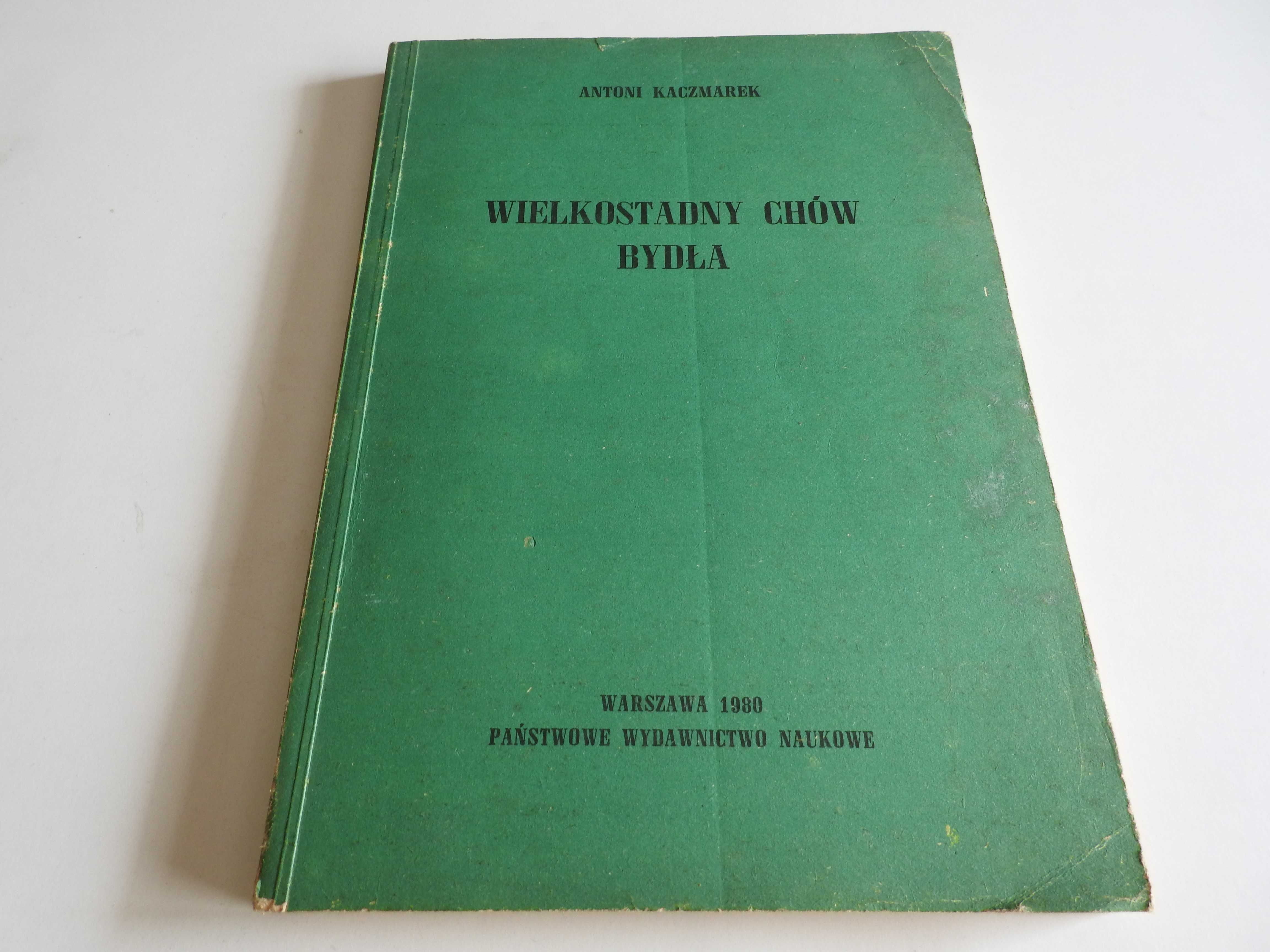 Wielkostadny chów bydła - A. Kaczmarek