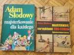 Adam Słodowy Majsterkowanie dla każdego Majsterkuję narzędziami