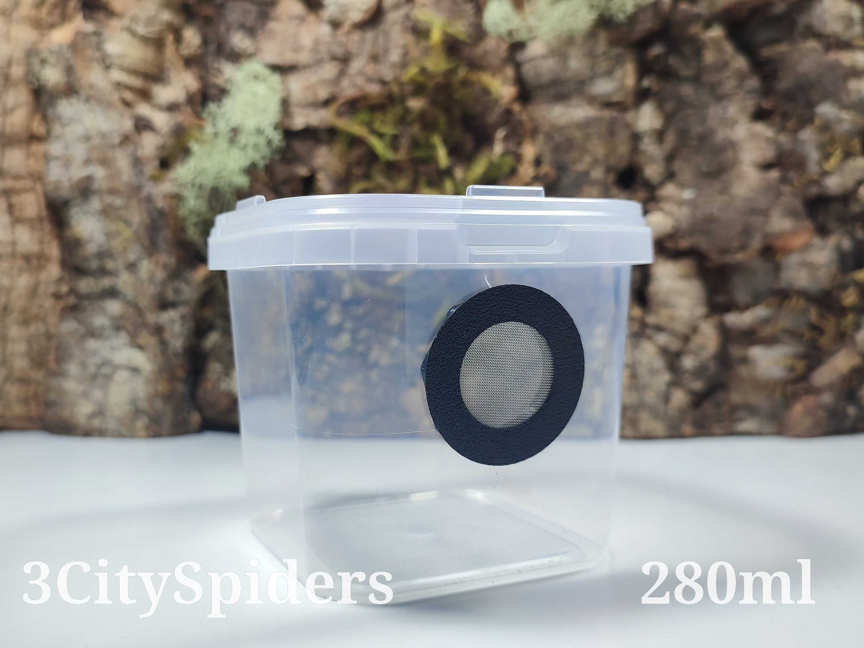 Pojemnik hodowlany dla pająka z gotową wentylacją (3CitySpiders)