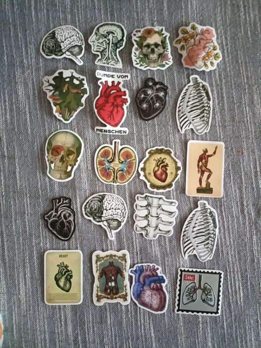 Naklejki ciało, anatomia człowieka