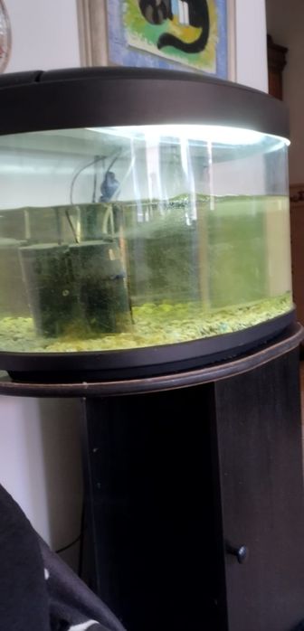 Aquário panorâmico  e móvel