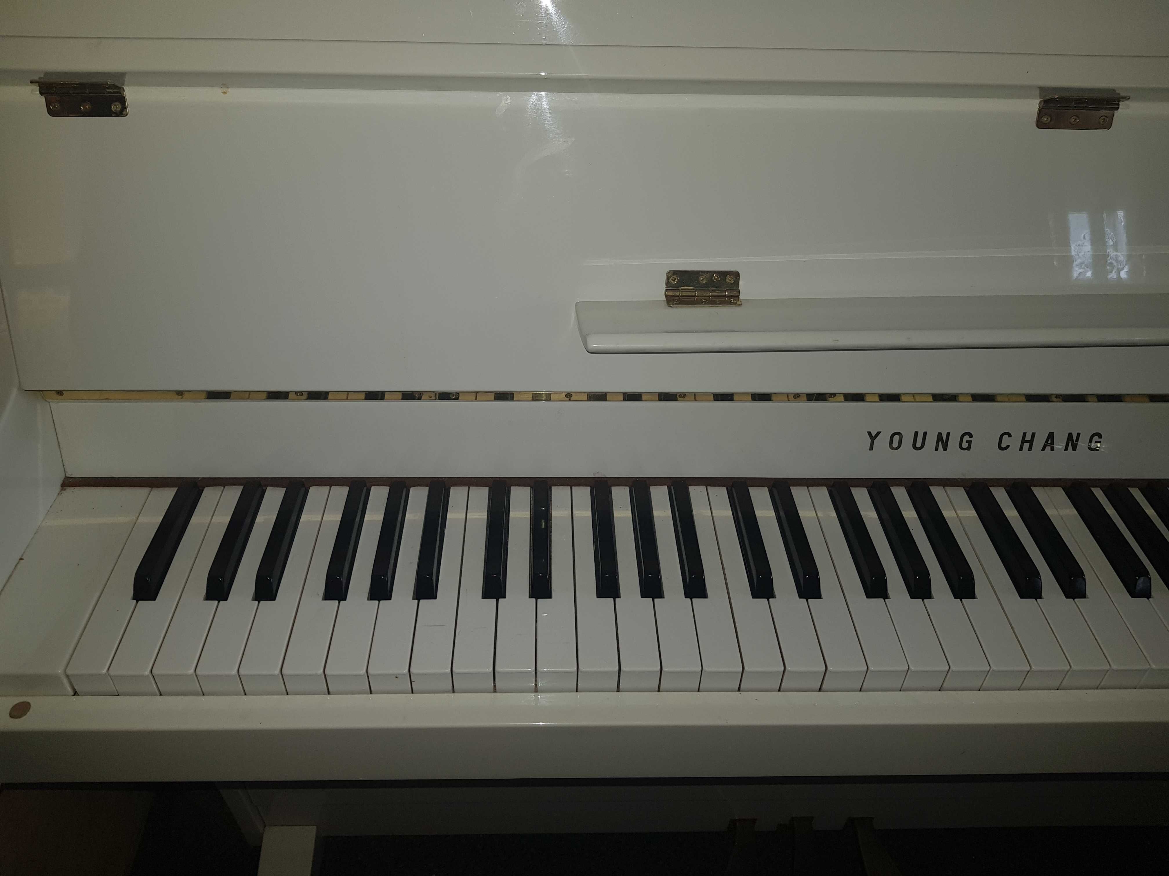 białe lakierowane pianino YOUNG CHANG z elementami złota stan idealny