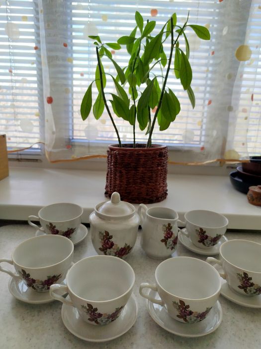 Чайний сервіз Баранівка