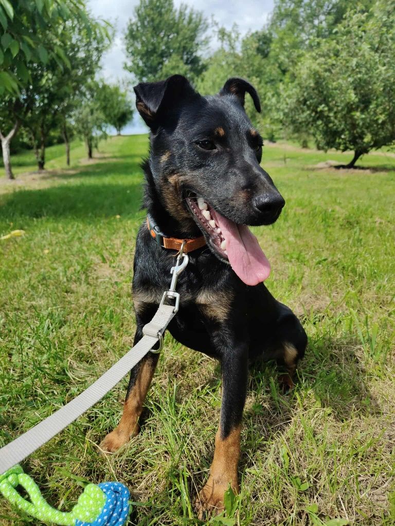 Piękny Ivan szuka rodziny