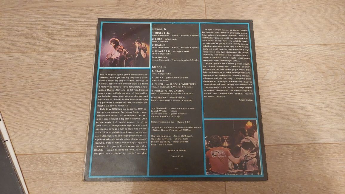 Krzak Blues Rock Band
