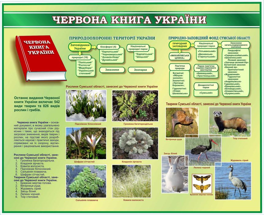 стенди для школи