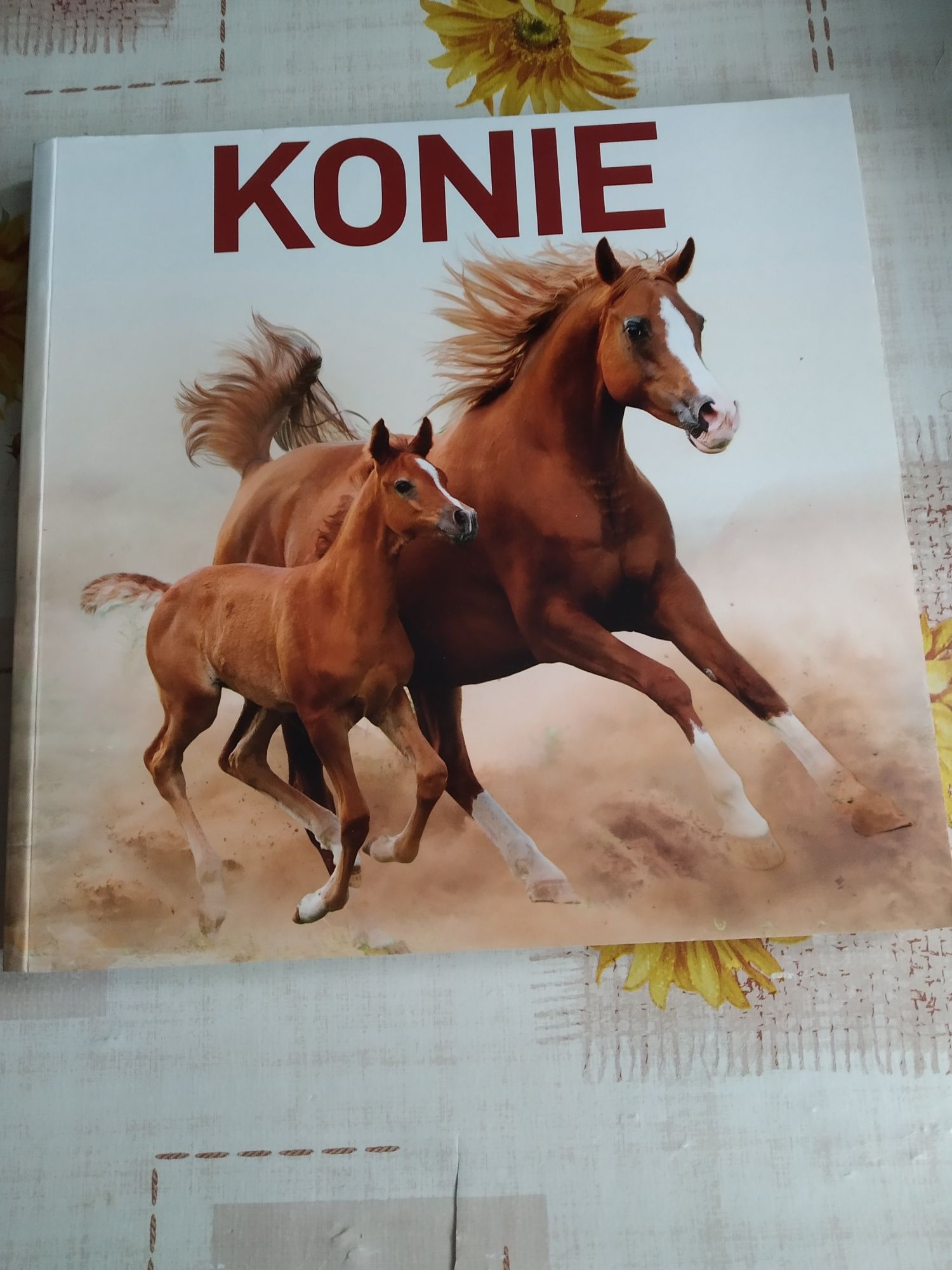 Książka Konie rasowe