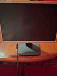 Monitor Flatron L192WS