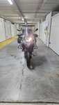 Vendo Benelli TRK 502 X