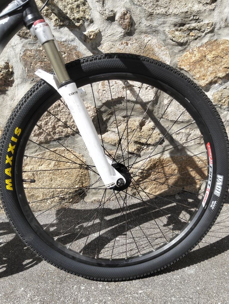 Bicicleta de Dirt/Whelling