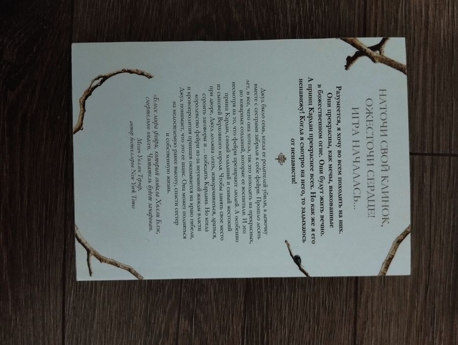 Жорстокий принц Холлі Блек