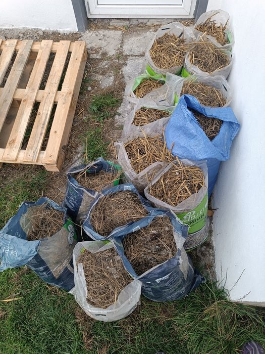 Nawóz ekologiczny od kur kurzak obornik