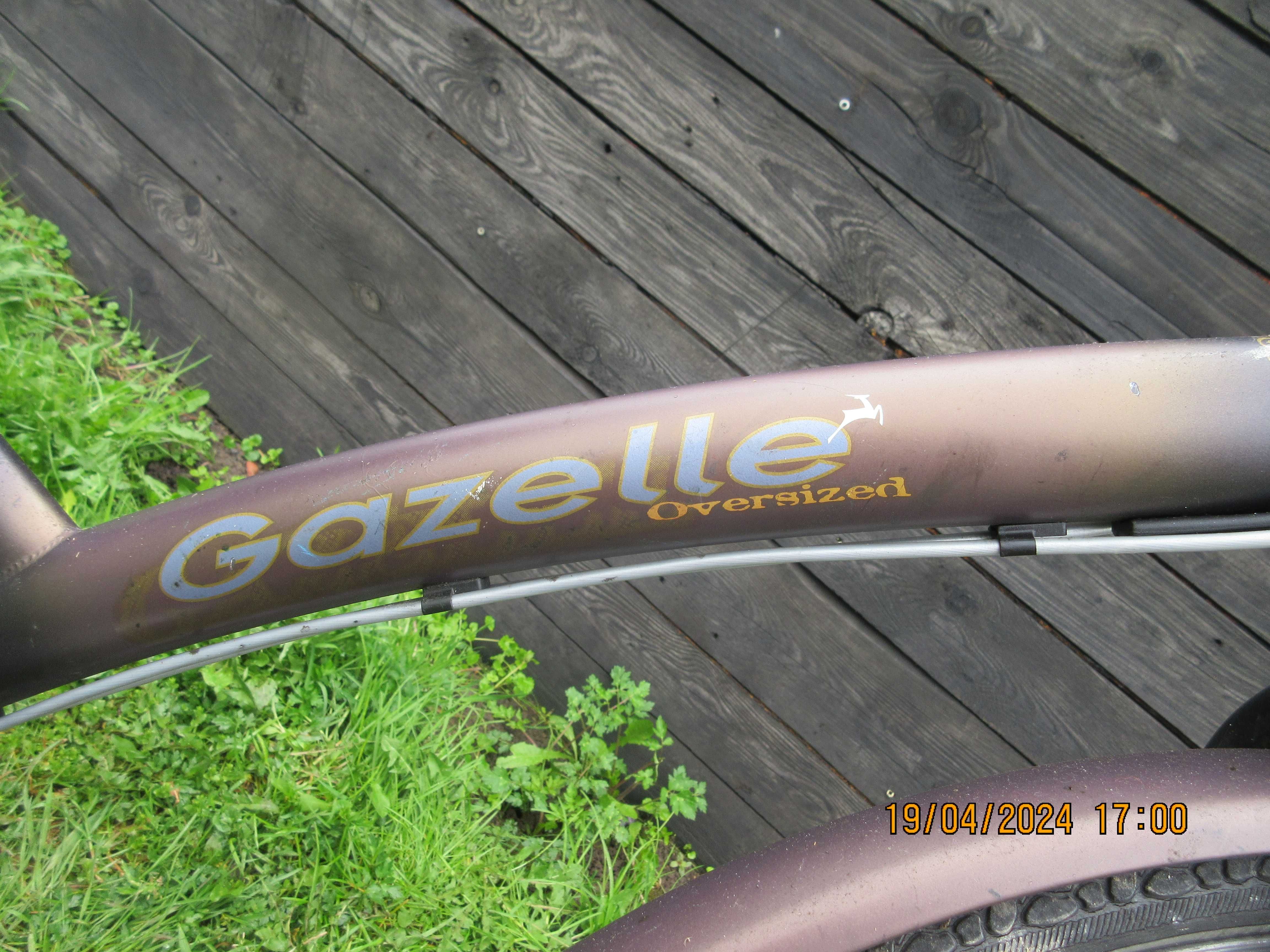 Rower męski Gazelle