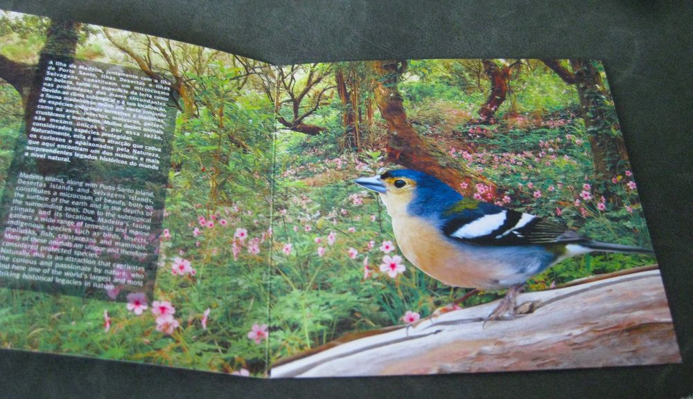 Conjunto de 3 Carteiras Temáticas Madeira s/ Selos