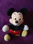 Myszka Miki disneyland