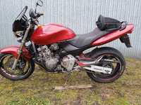 Honda Hornet PC34 CB600