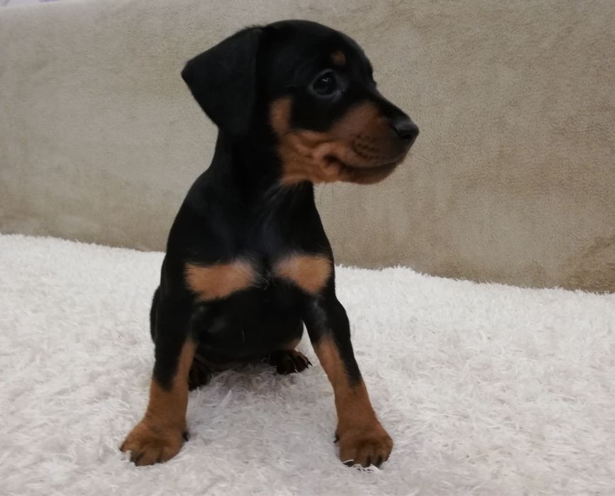 Малюк для тебе