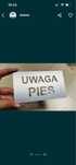Tabliczka ostrzegawcza uwaga pies