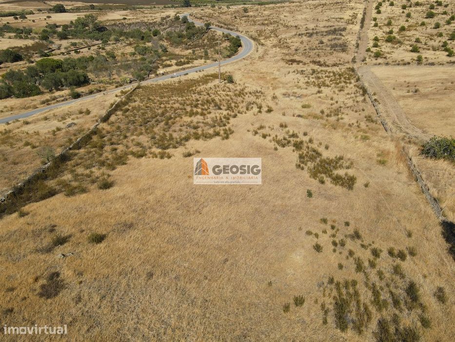 Terreno Rústico  Venda em São Miguel do Pinheiro, São Pedro de Solis e