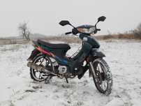 Viper active 110
