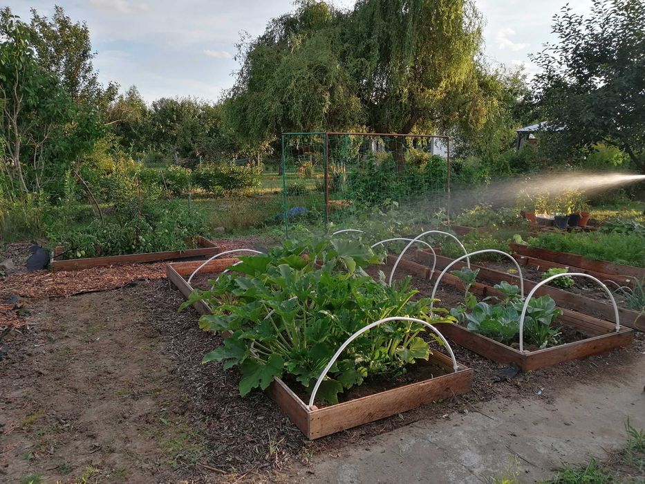 Działka ROD Swoboda Toruń