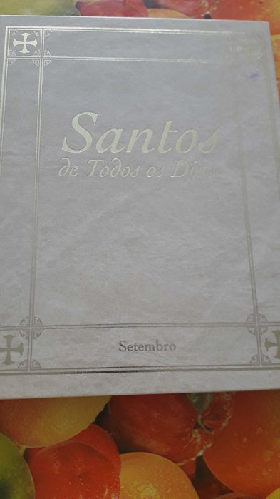 12 volumes :Santos de Todos  os Dias