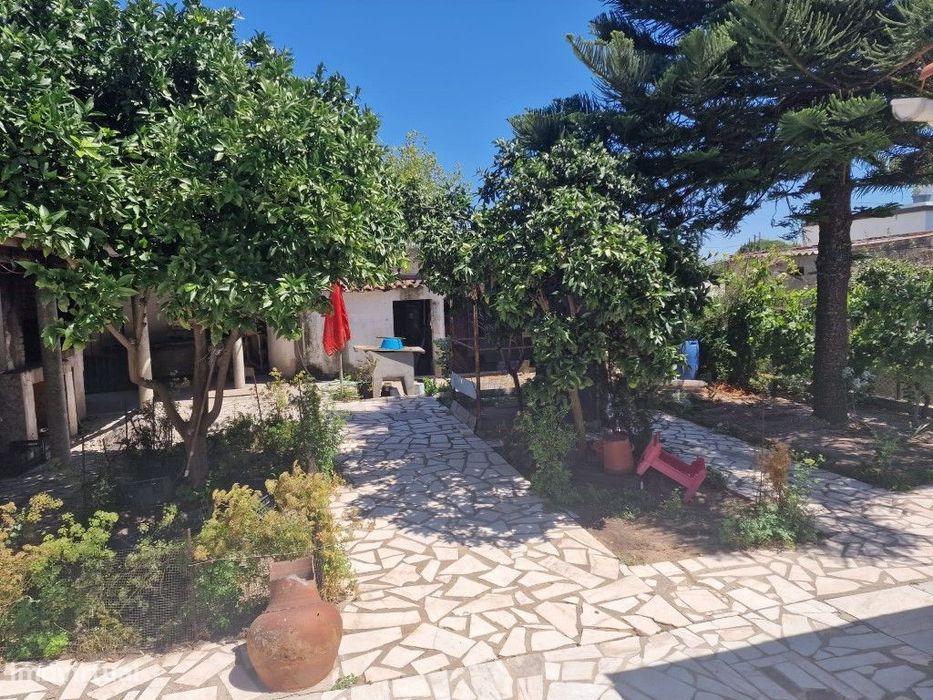 Terreno c/ Casa Térrea, em Foros de Salvaterra.