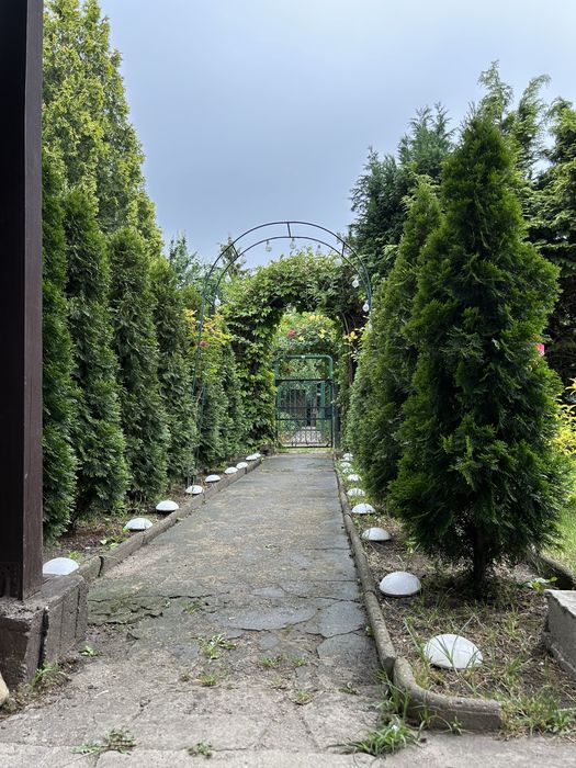 Dzialka rod Tadeusza Kosciuszki