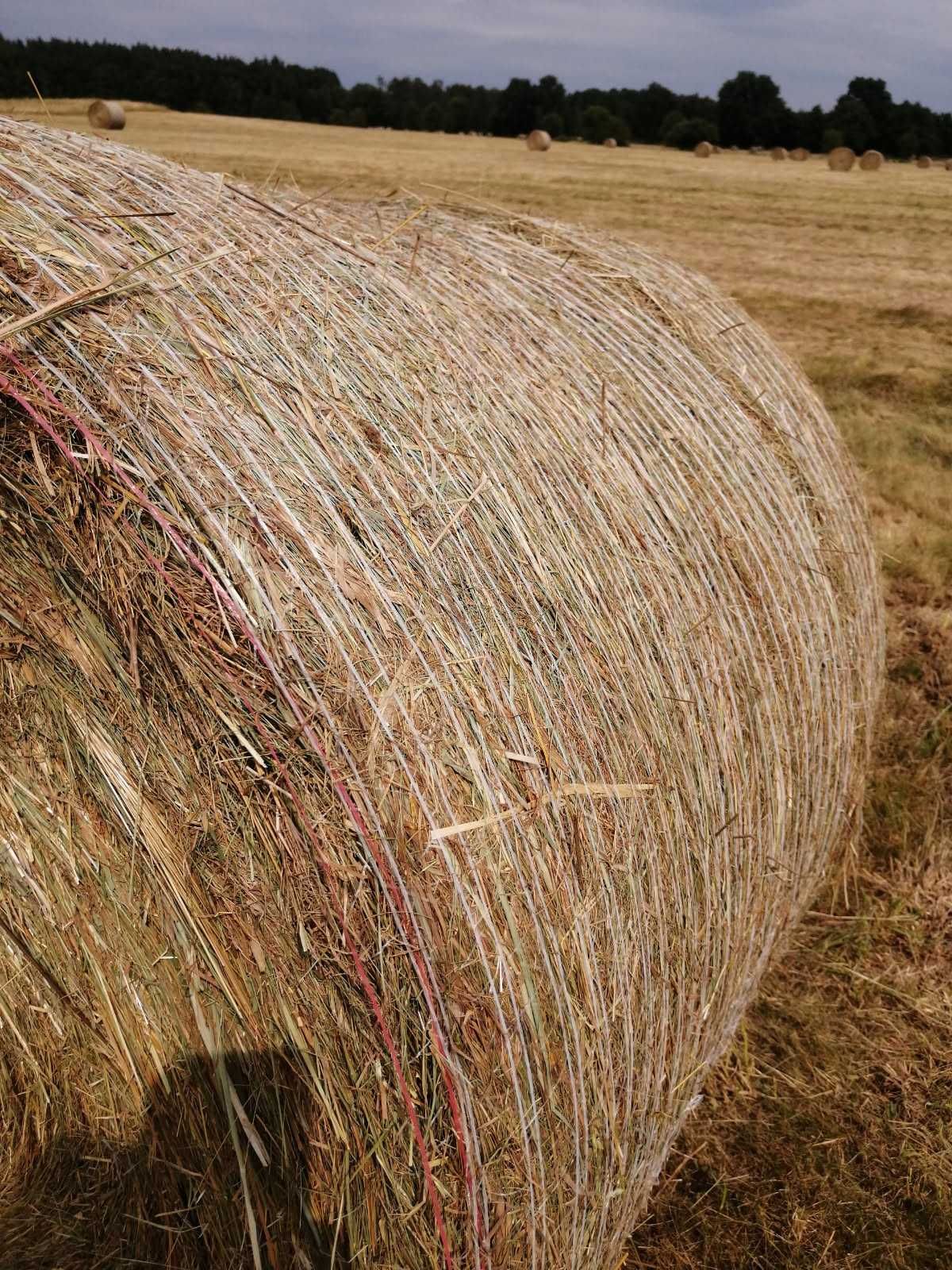 siano baloty z obszaru Natura 2000 załadunek GRATIS