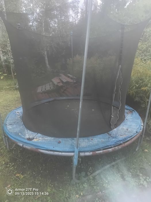 Trampolina 250 cm