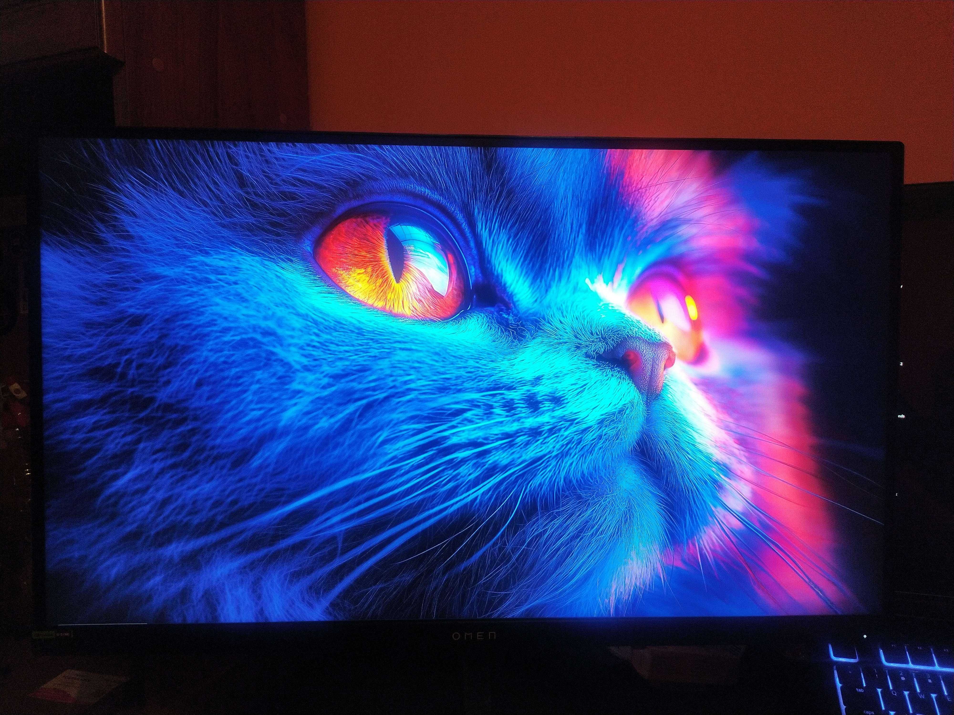 Monitor IPS 1440p (2k)  27cali 240HZ HP OMEN