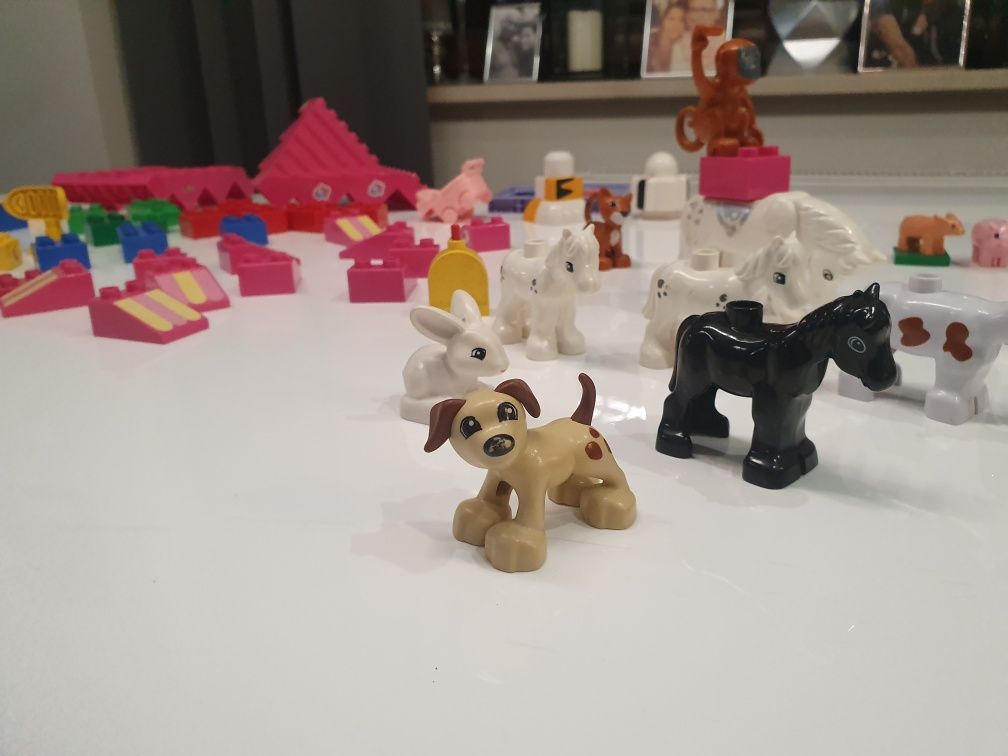 Lego Unikaty zwierzęta koń krowa piesek konie duplo małpka hello kitty
