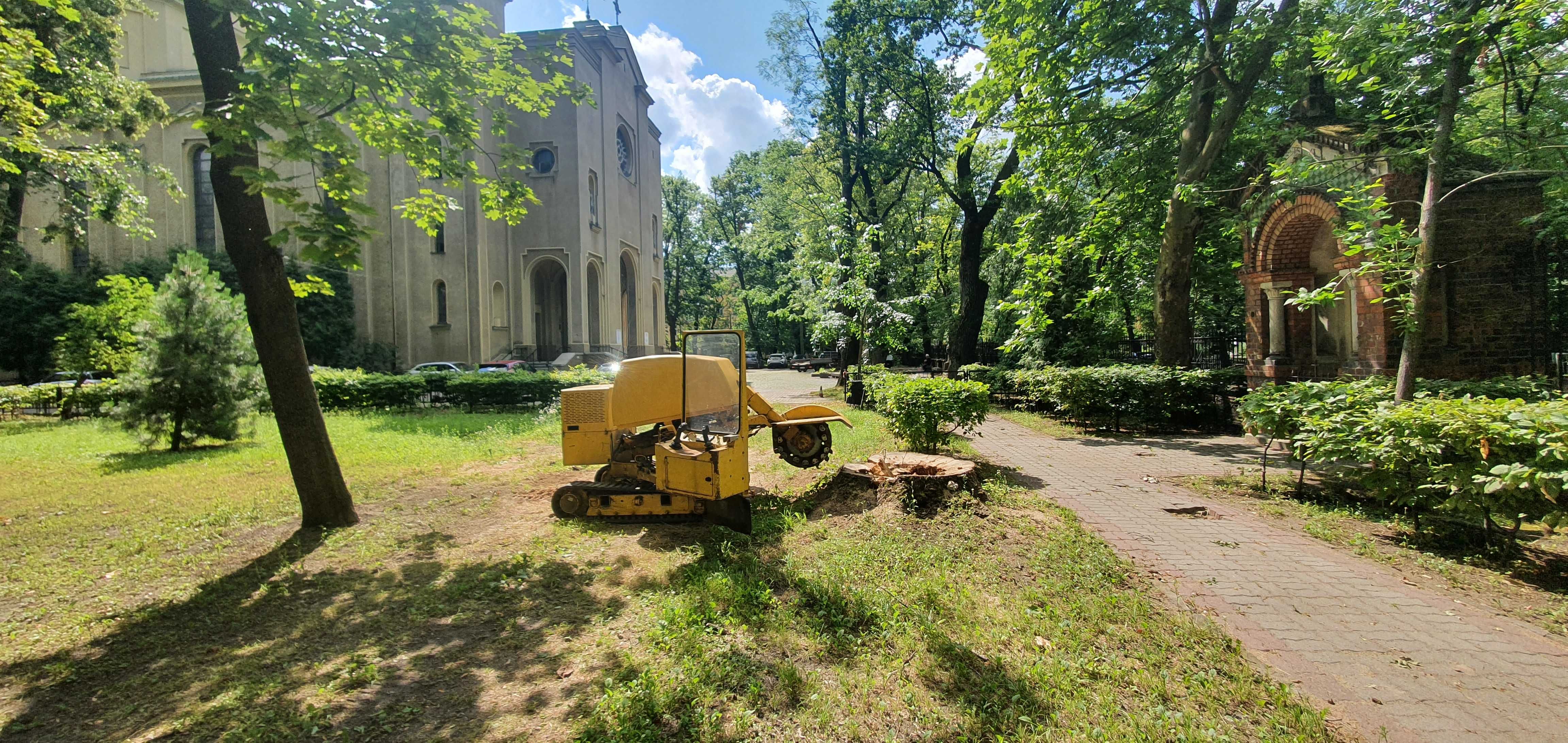 Wycinka Drzew Podnośnik Frezowanie Karp Rębak