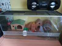 Sprzedam terrarium akwarium