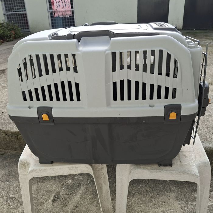 Transportadora - aprovada avião