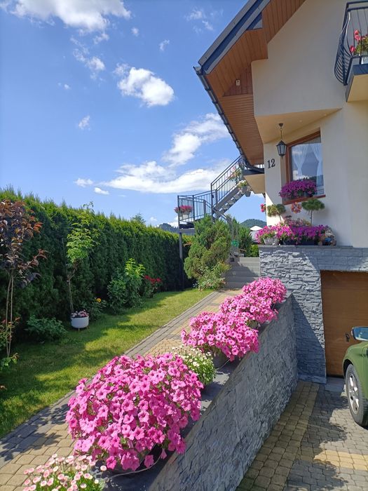 Noclegi w Gorach Szczawnica wolny APARTAMENT LILA Zapraszamy .