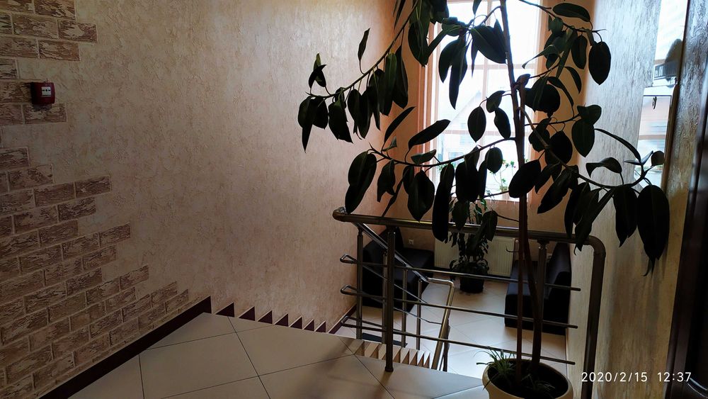 Залишилося одне приміщення 50 м2 Оренда комерція  Головна 246Р