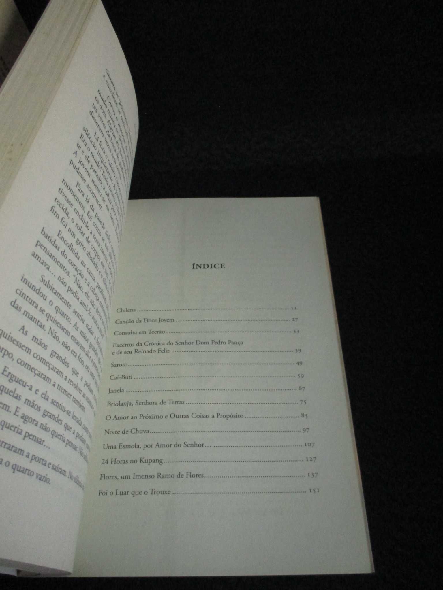 Livro Aguarela Nómada Jorge Ferrão Cardoso