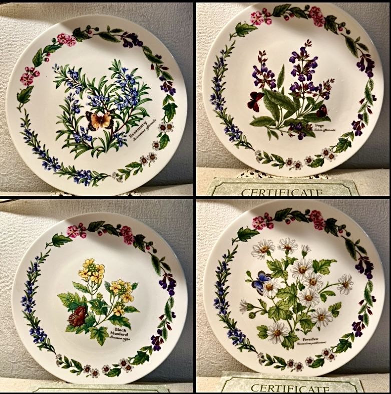 *KOMPLET 8 Elegancki ROYAL WORCESTER ZIOŁA MOTYL Vintage Kwiaty Talerz