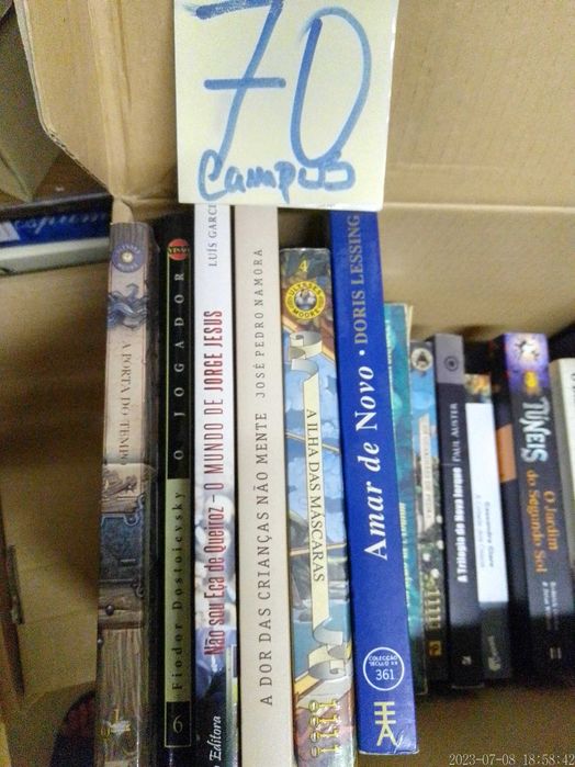 LOTES 62 + 70 - LIVROS Diversos - Vendidos EM SEPARADO - Vários Preços