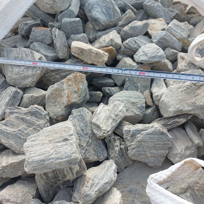 Promocjia dalmatyńczyk kamień granitowy 16-22