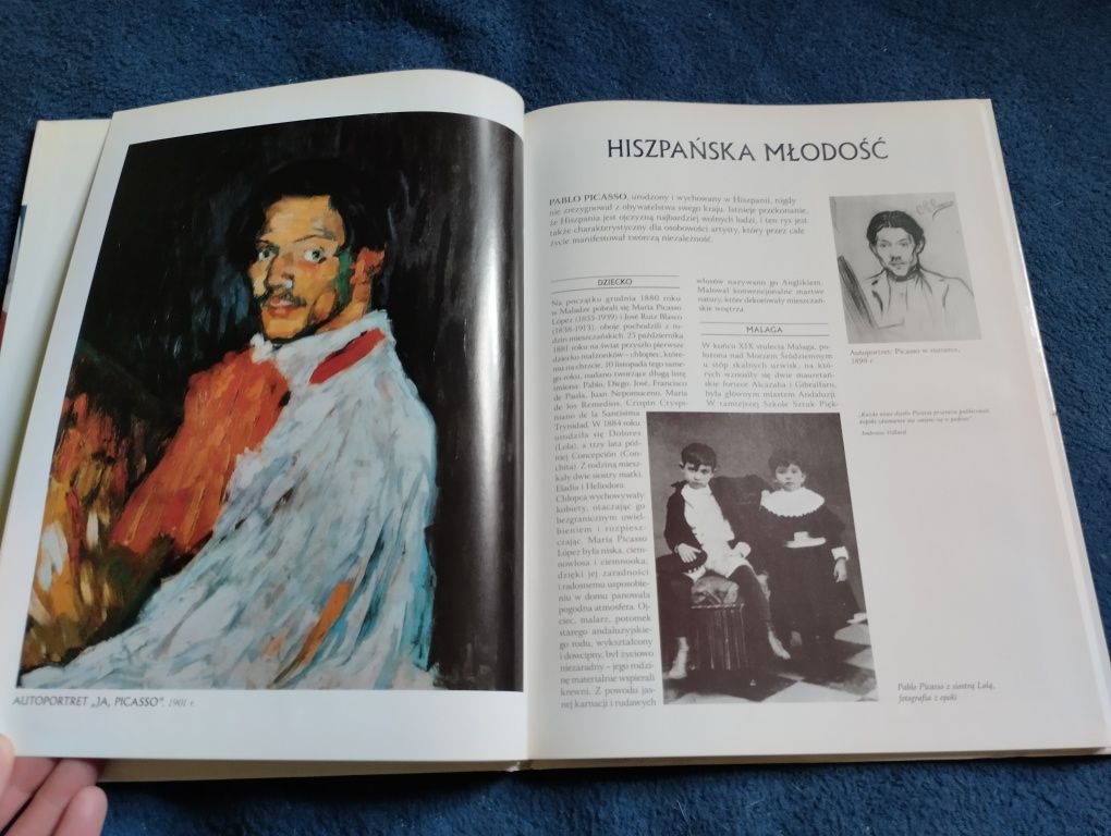 Pablo Picasso. Album o malarstwie