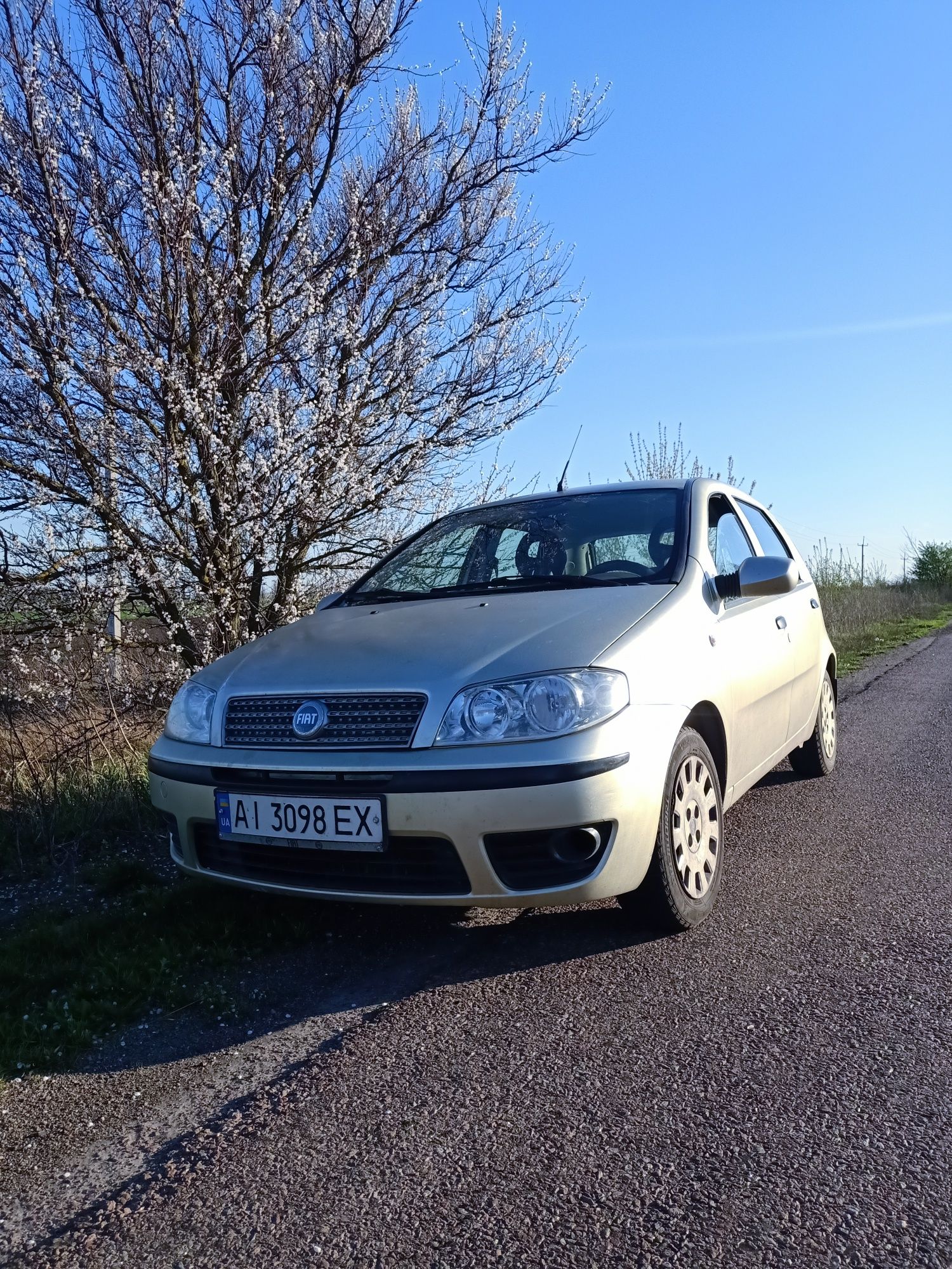 Fiat Punto classic 2007р.