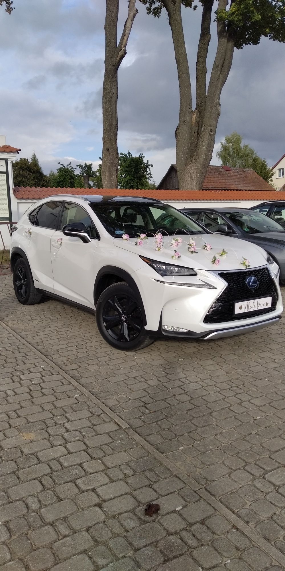 Lexus NX Biały wynajem auta do ślubu zawiozę Tanio promocja