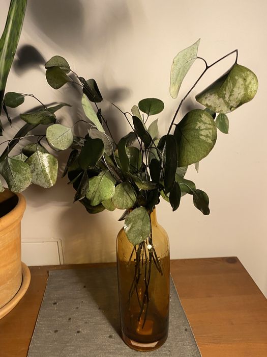 Wazon wysoki brazowy szklany mid century